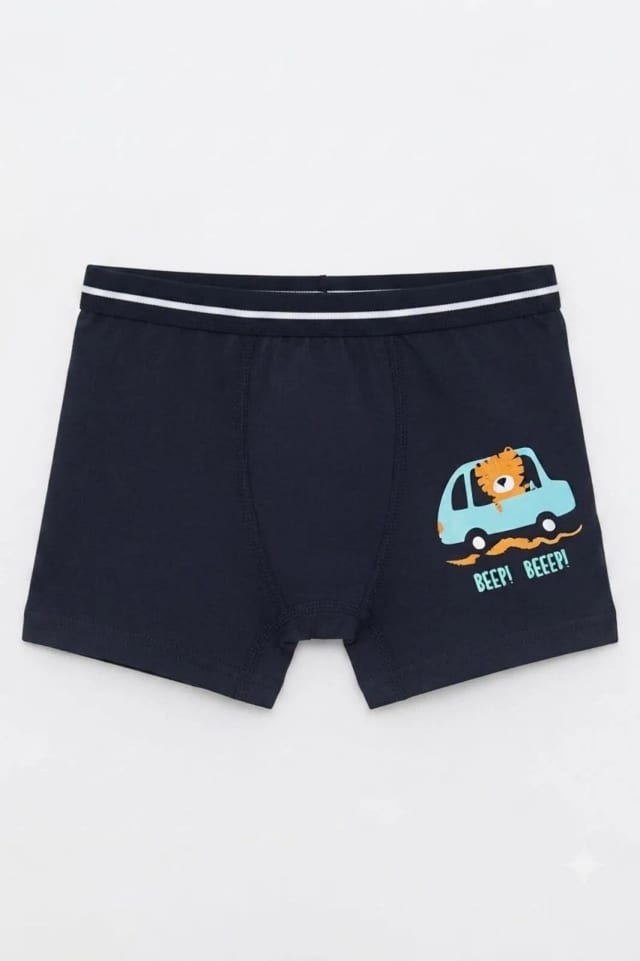 Erkek Çocuk Boxer Parça Baskılı - EC01